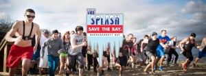 SaveTheBay Splash